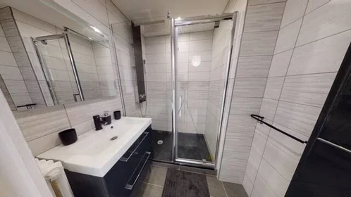 Chambre privée à Saint-Étienne, 42100, image 13 de 15