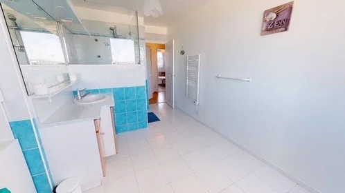 Chambre privée à Saint-Étienne, 42100, image 14 de 15