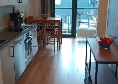 Appartement entièrement meublé à reykjavik