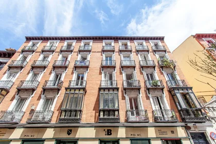 Stanza privata in Madrid, 28012, immagine 18 di 21
