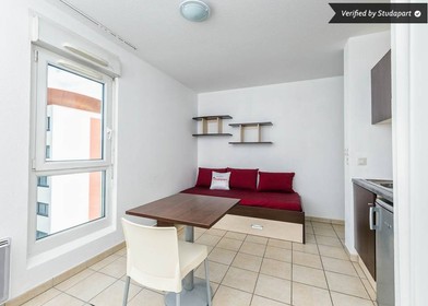 Room for rent in a shared flat in Grenoble