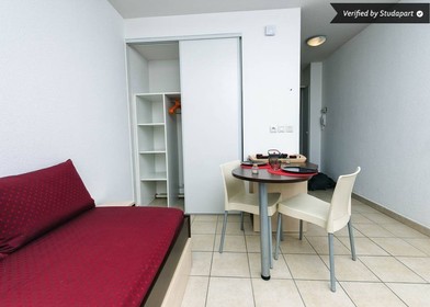 Jasny pokój prywatny w Grenoble