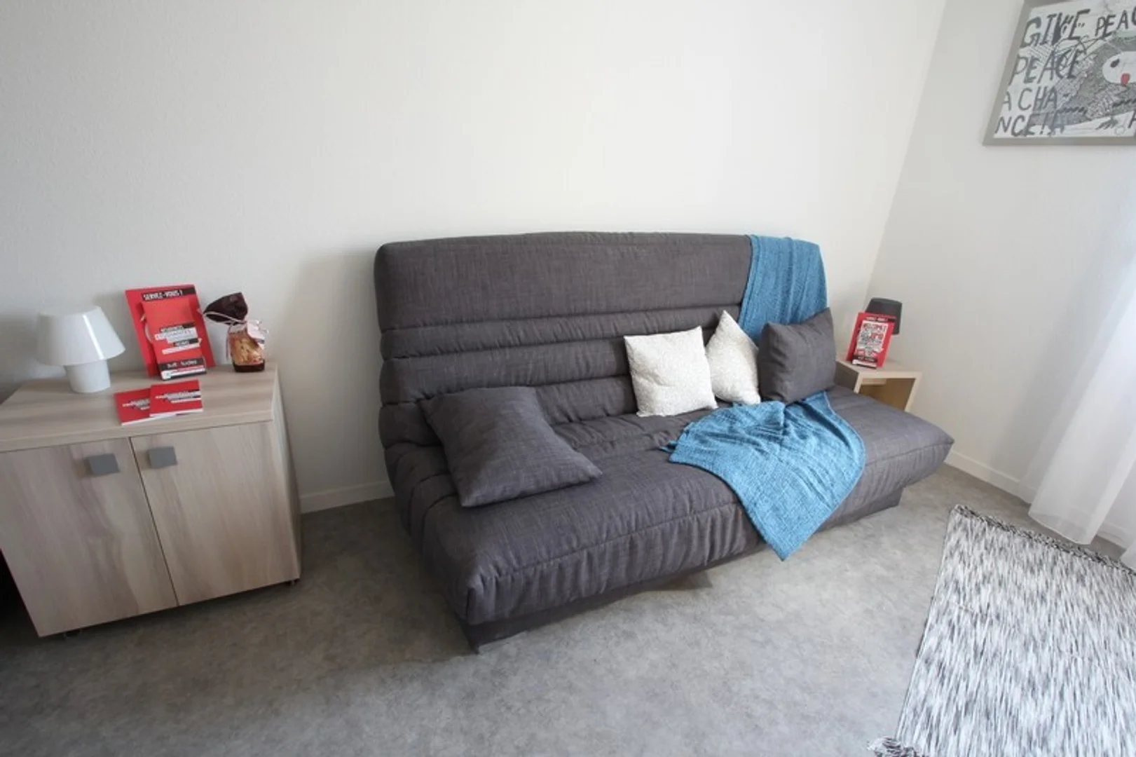 Affordable room for students with ample lighting in 