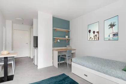 Stanza privata in residence in Lille, 59000, immagine 2 di 13