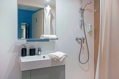 Stanza privata in residence in Lille, 59000, immagine 3 di 13