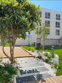 Stanza privata in residence in Toulouse, 31200, immagine 14 di 14