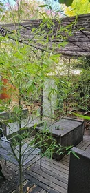 Privatzimmer in der Vallauris, 06220, bild 8 von 17