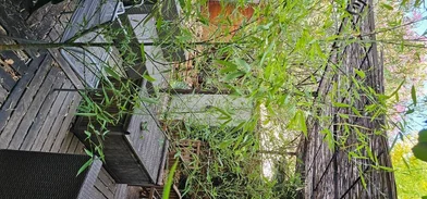 Prywatny pokój Vallauris, 06220, obraz 8 17