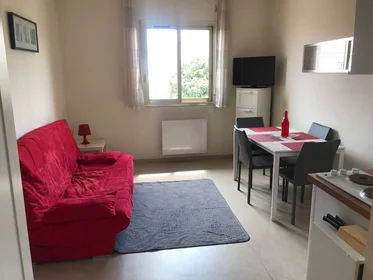 Prywatny pokój Antibes, 06600, obraz 1 10