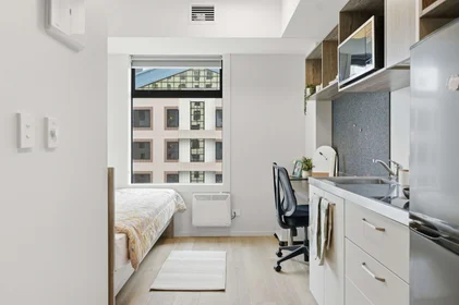 Estudio en residencia en 121 Mayoral Drive, Auckland Central, Auckland 1010, New Zealand, imagen 49 de 49