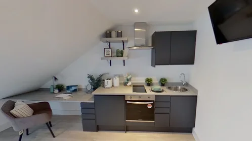 单间公寓 在住宅内 在 217 Ilkeston Road, Lenton, Nottingham NG7 3FX, UK, 24的图像3