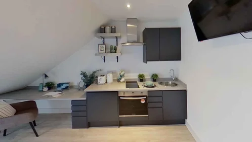 单间公寓 在住宅内 在 217 Ilkeston Road, Lenton, Nottingham NG7 3FX, UK, 24的图像5