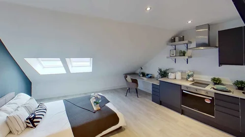 单间公寓 在住宅内 在 217 Ilkeston Road, Lenton, Nottingham NG7 3FX, UK, 24的图像6