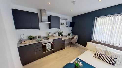 单间公寓 在住宅内 在 217 Ilkeston Road, Lenton, Nottingham NG7 3FX, UK, 23的图像1