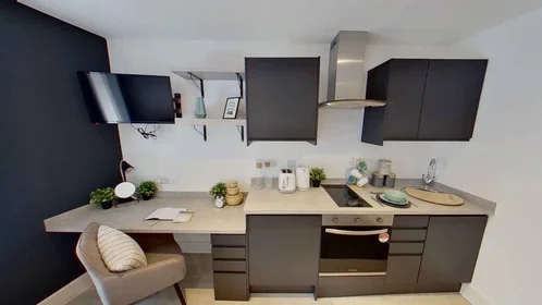 单间公寓 在住宅内 在 217 Ilkeston Road, Lenton, Nottingham NG7 3FX, UK, 23的图像3