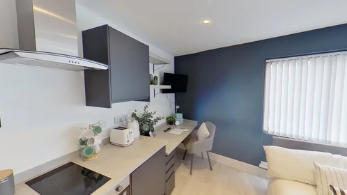 单间公寓 在住宅内 在 217 Ilkeston Road, Lenton, Nottingham NG7 3FX, UK, 23的图像4