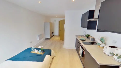 单间公寓 在住宅内 在 217 Ilkeston Road, Lenton, Nottingham NG7 3FX, UK, 23的图像5