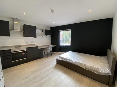单间公寓 在住宅内 在 217 Ilkeston Road, Lenton, Nottingham NG7 3FX, UK, 23的图像7