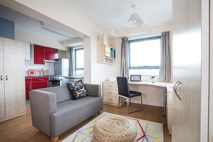 私人房间 在住宅内 在  10 Witan Street, Bethnal Green, London, England, E2 6FG, 20的图像20