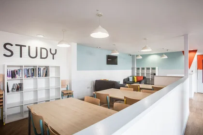 私人房间 在住宅内 在  10 Witan Street, Bethnal Green, London, England, E2 6FG, 20的图像9