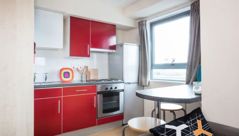 Studio in der  10 Witan Street, Bethnal Green, London, England, E2 6FG, bild 1 von 10