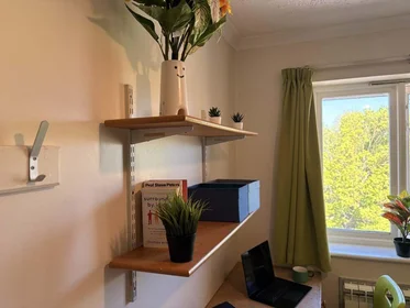 Gesamte Unterkunft im Wohnheim in der Pin Hill Canterbury CT1 2RB, bild 3 von 20