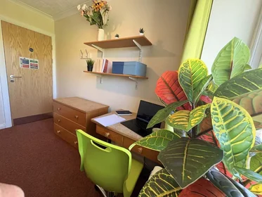 Gesamte Unterkunft im Wohnheim in der Pin Hill Canterbury CT1 2RB, bild 6 von 20