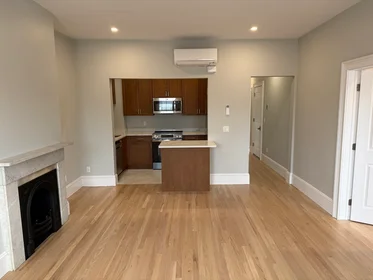 Entire place in residence at 147, West Concord, Unit 3, South End, Boston, MA, 02118, image 11 of 16