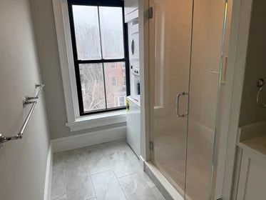 Entire place in residence at 147, West Concord, Unit 3, South End, Boston, MA, 02118, image 15 of 16