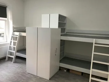 Mehrbettzimmer in der Nefelejcs utca, XVIII. kerület, bild 1 von 10