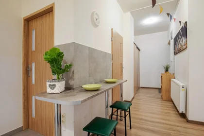 Prywatny pokój Al. Juliusza Słowackiego 37, obraz 13 15