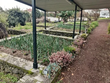 Privatzimmer in der Ponta Delgada, Ponta Delgada, bild 22 von 22