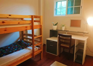 Stanza in condivisione in un appartamento di 3 camere da letto Madeira