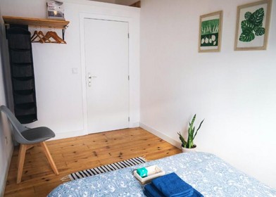 Renting rooms by the month in Ponta Delgada