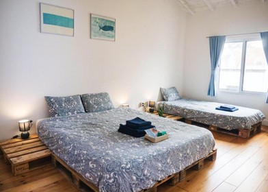 Ponta Delgada de çift kişilik yataklı kiralık oda