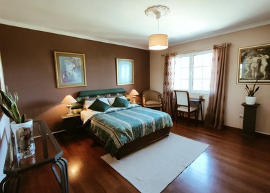 Habitación en alquiler con cama doble Madeira