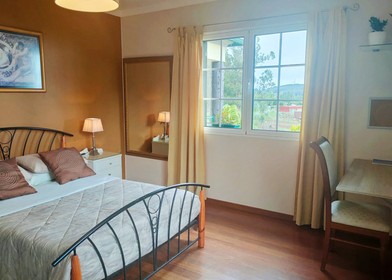 Zimmer mit Doppelbett zu vermieten Madeira