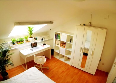 Bright private room in Vienna