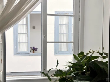 Habitación privada en Triana - Vegueta, Las Palmas, imagen 32 de 34