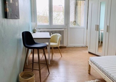 Stanza in affitto in appartamento condiviso a Metz