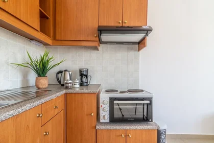 Apartamento inteiro em Leontariti 13, imagem 3 de 29
