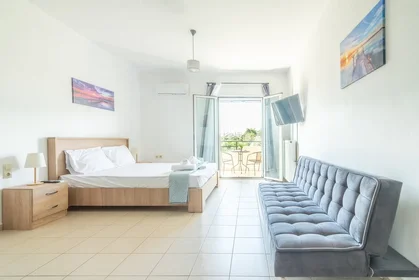 Apartamento inteiro em Leontariti 13, imagem 25 de 29
