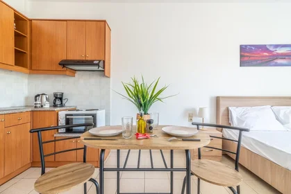 Apartamento inteiro em Leontariti 13, imagem 28 de 29