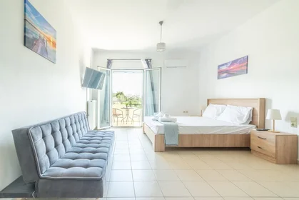 Apartamento inteiro em Leontariti 13, imagem 1 de 10