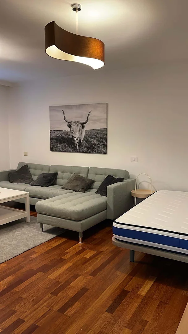 Quarto de estudante confortável e espaçoso em 