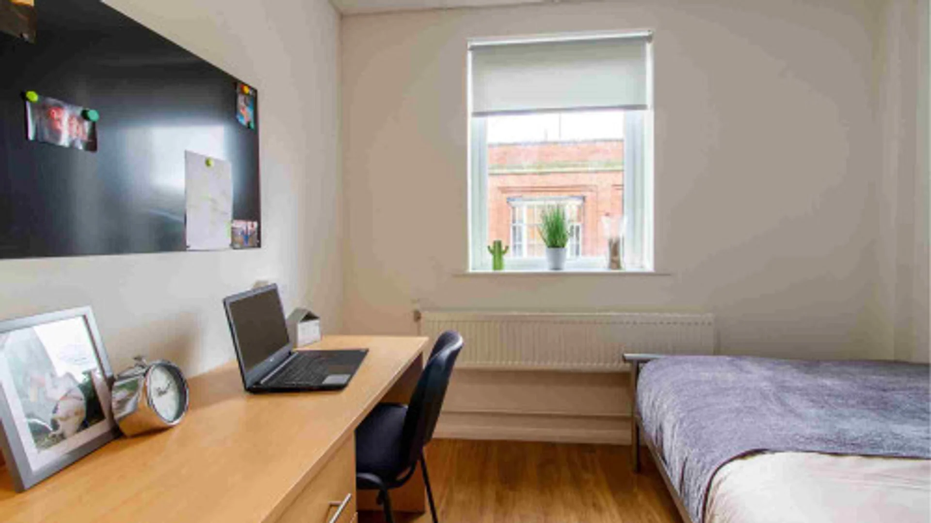 Cozy room for students available in 