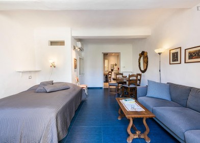 Sehr helles Studio zur Miete in firenze