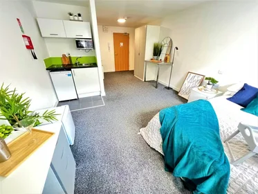 Mehrbettzimmer in der 164 Tudor Rd, Leicester LE3 5HU, United Kingdom, bild 24 von 49
