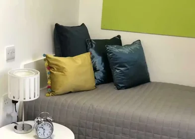 Mehrbettzimmer in der 164 Tudor Rd, Leicester LE3 5HU, United Kingdom, bild 39 von 49