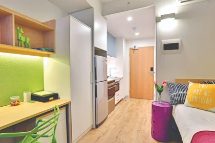 Całe miejsce w rezydencji 483 Wattle Street, Ultimo NSW 2007, obraz 2 28